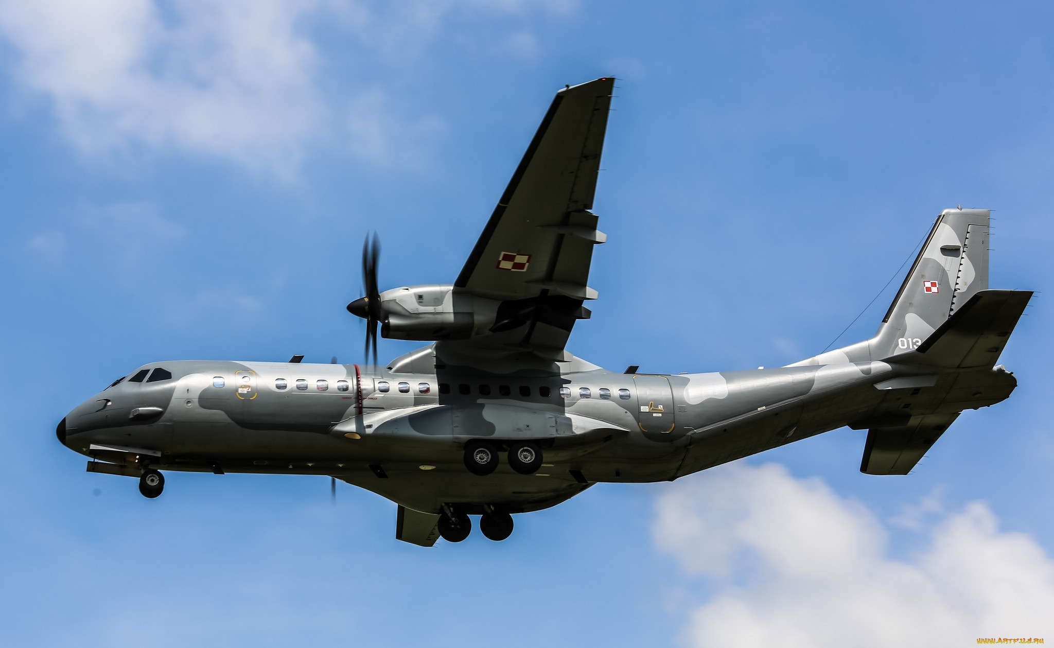 airbus 295 short, , - , 